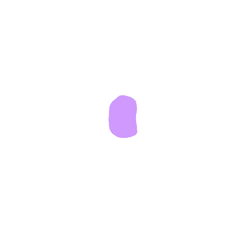 Vertebral Notch