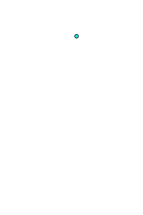 External occiptal protuberance