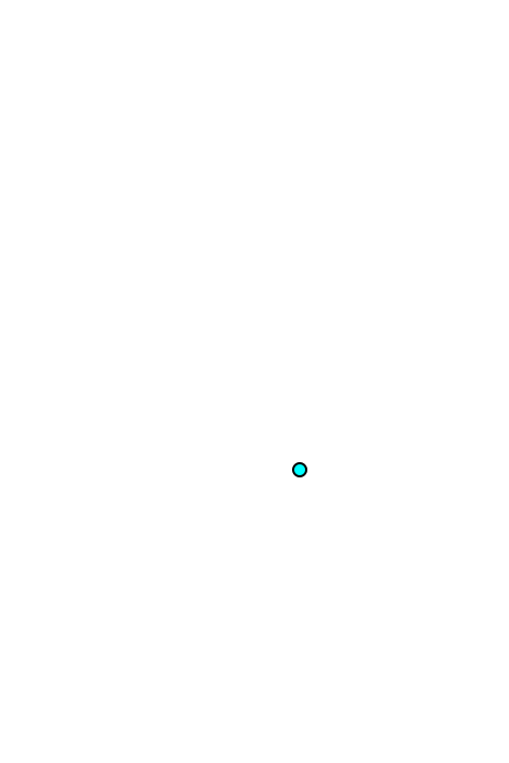 Lower part of trapezius