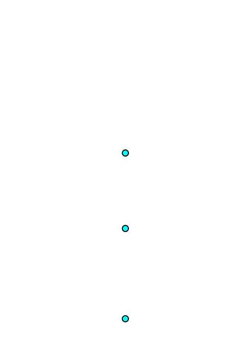 Medial longitudinal furrow