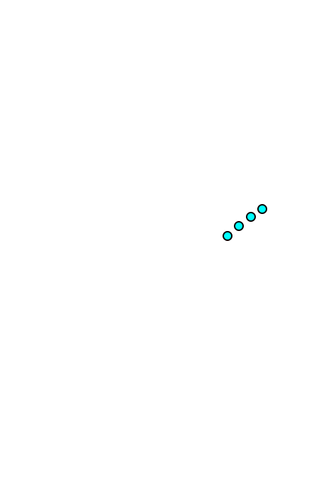 Spine of the scapula