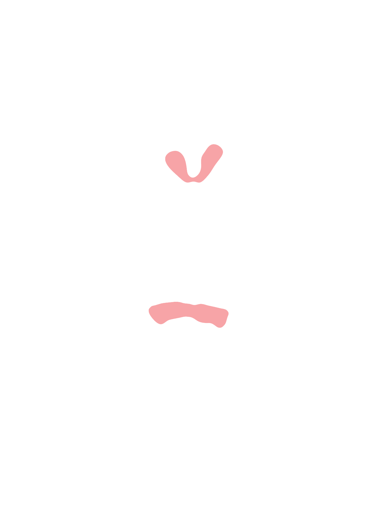 Corpus callosum