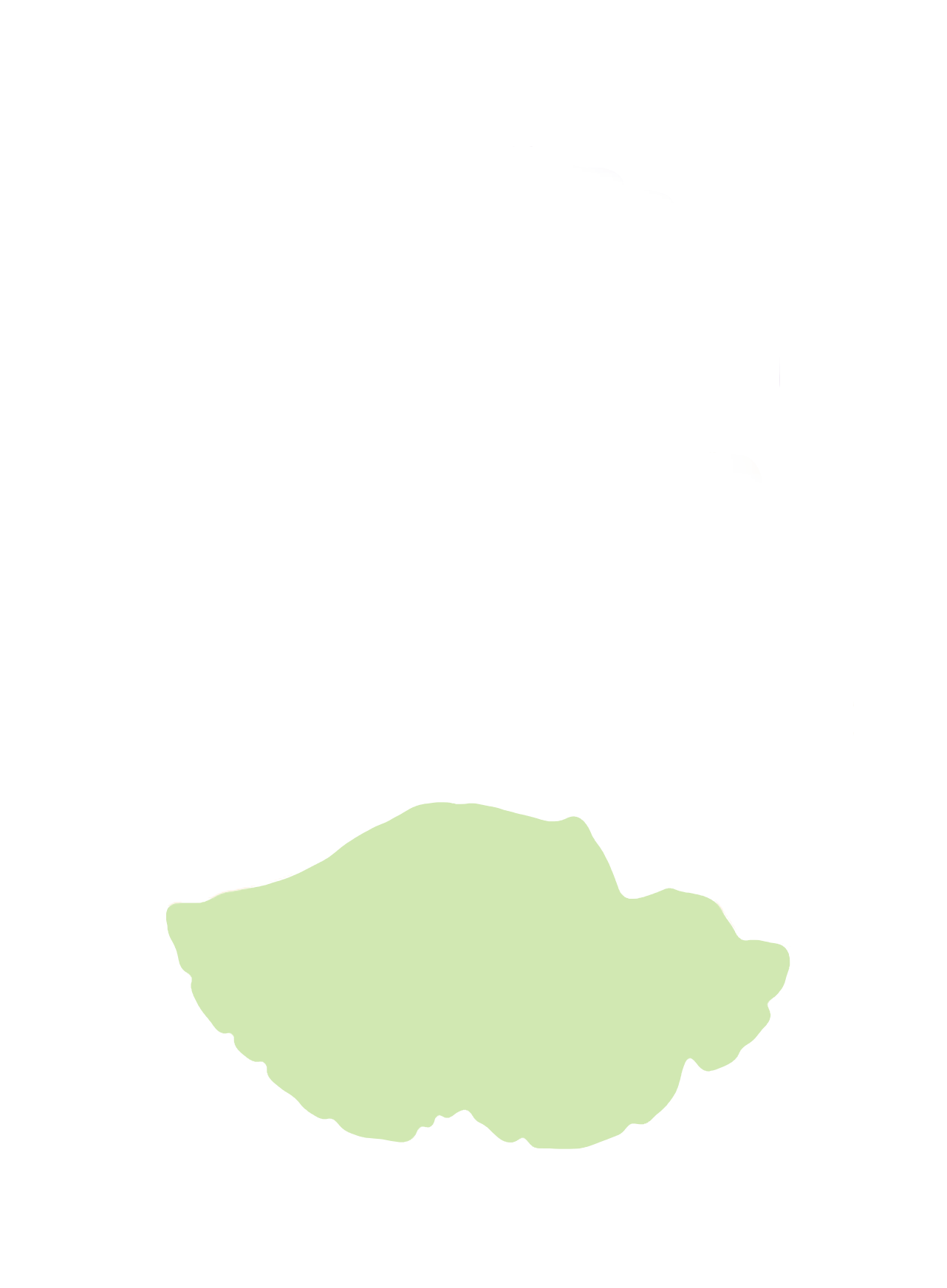 Occipital lobe