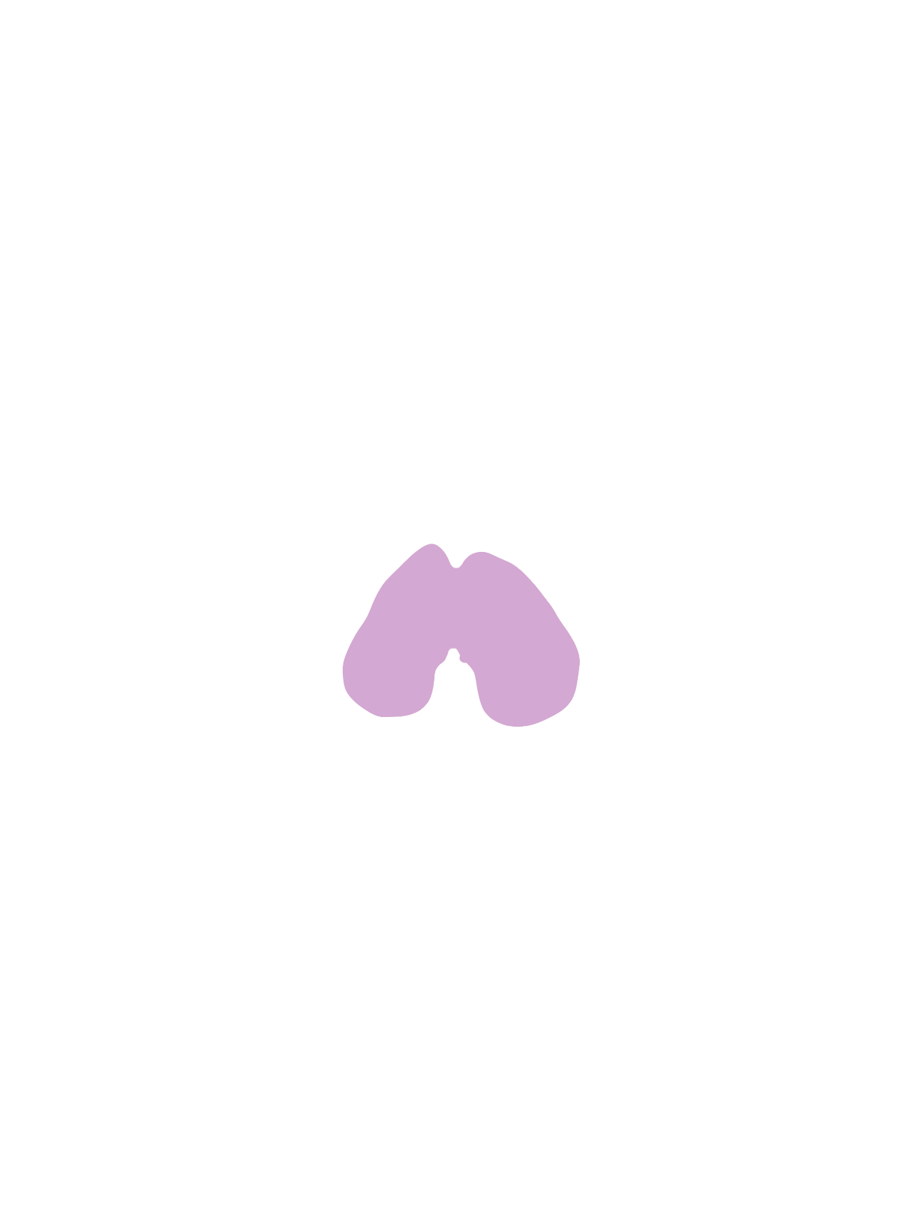 Thalamus