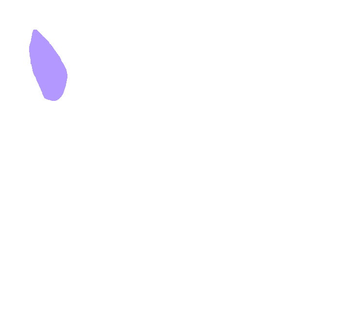 Axis anterior facet for anterior arch of atlas