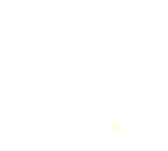 Axis anterior inferior articular facet