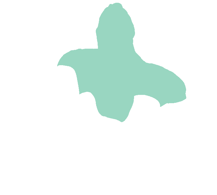 Axis posterior body