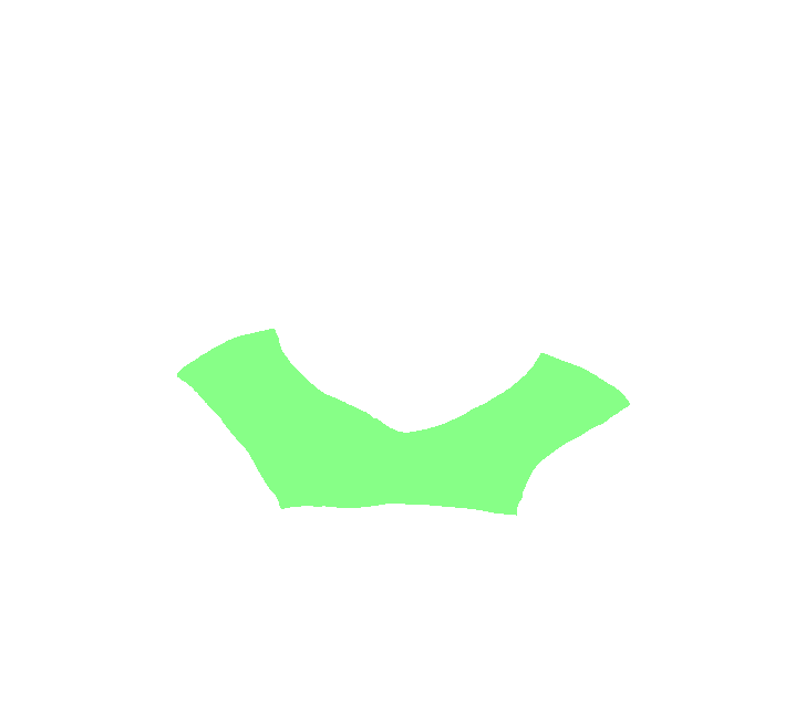 Axis superior laminae