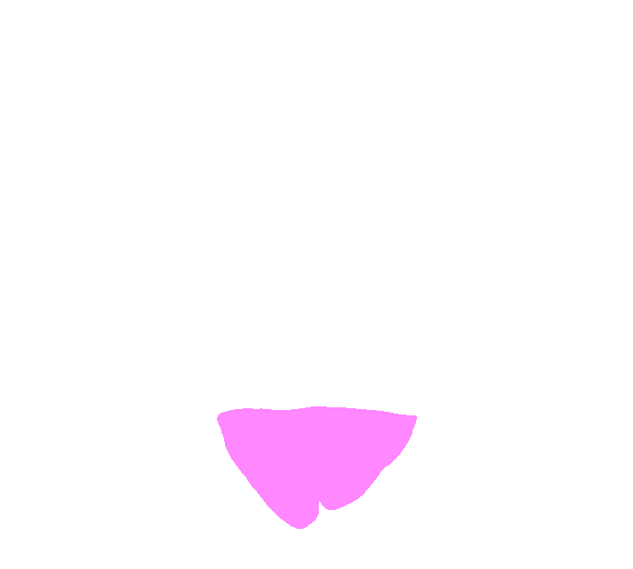 Axis superior spinous process