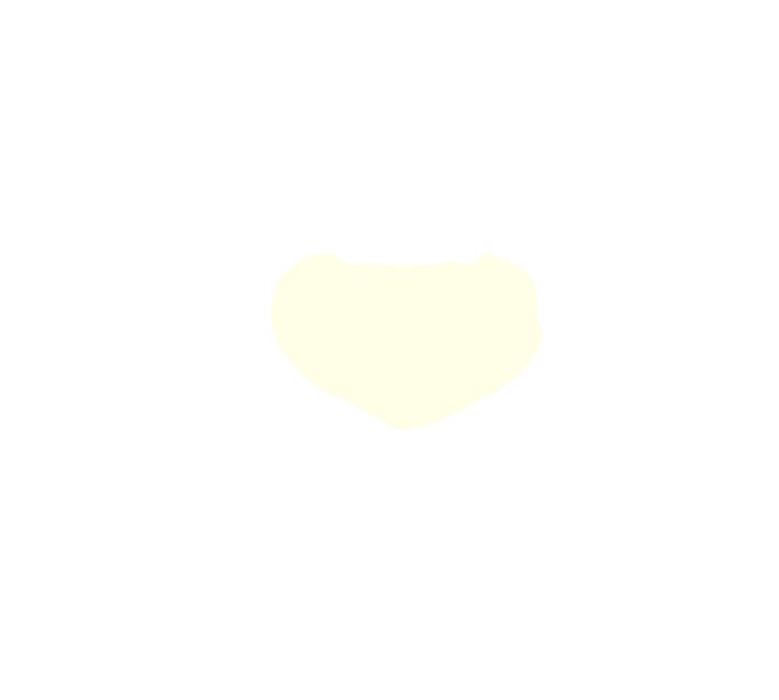 Axis superior vertebral foramen
