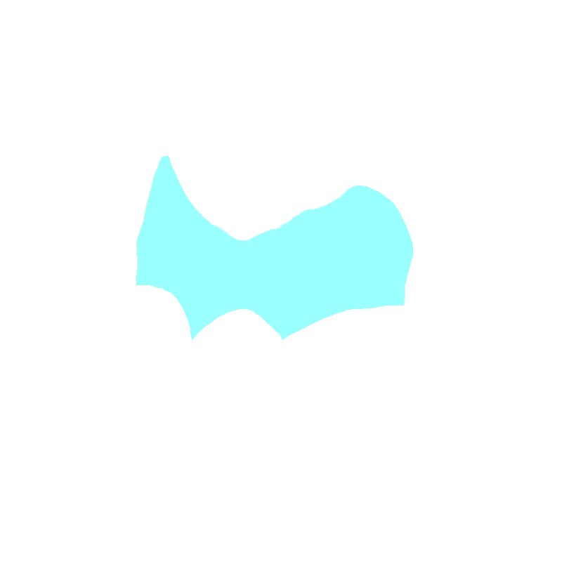 Cervical posterior lamina