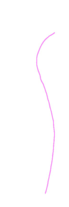 Anterior border