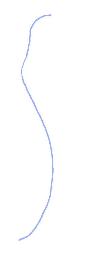 Posterior border
