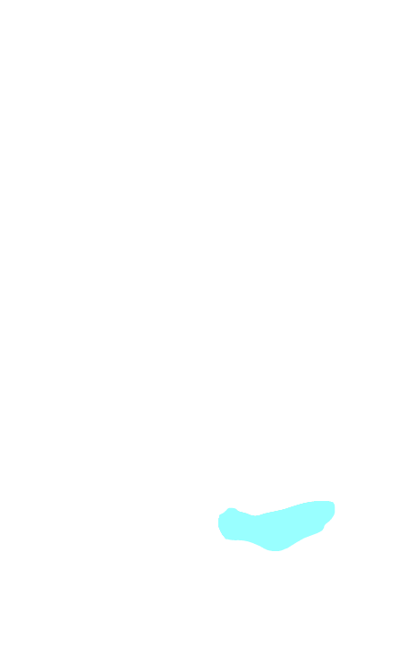 Hippocampal formation