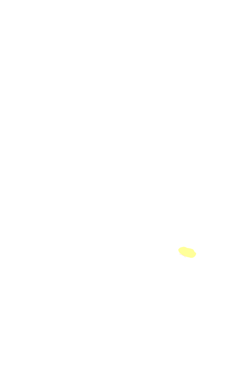 Optic tract