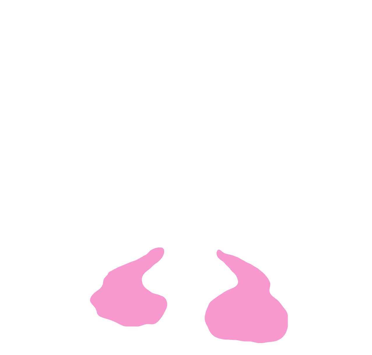 Cerebellum