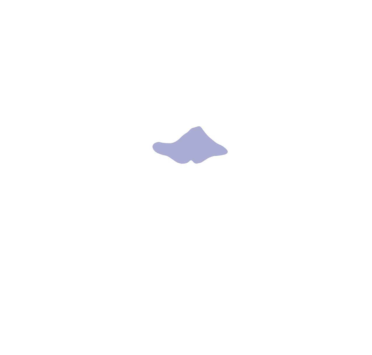 Cingulate gyrus