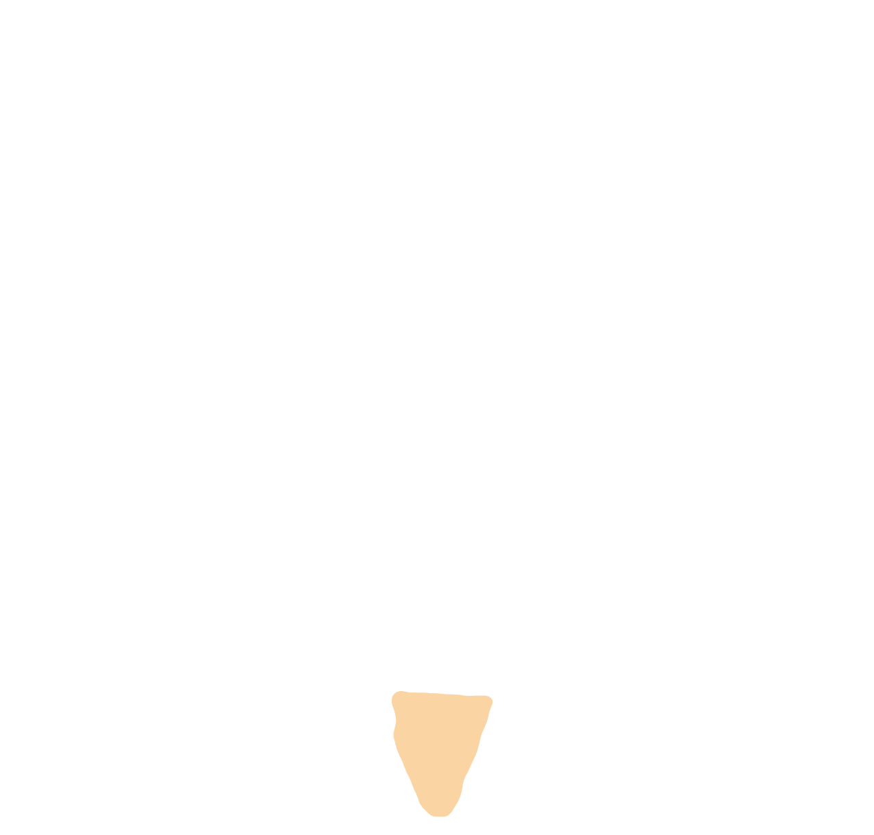 Medulla