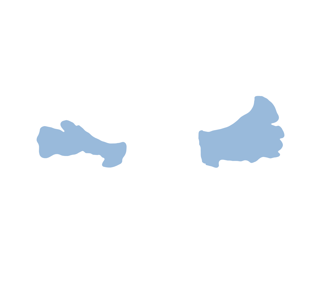 Parietal lobe