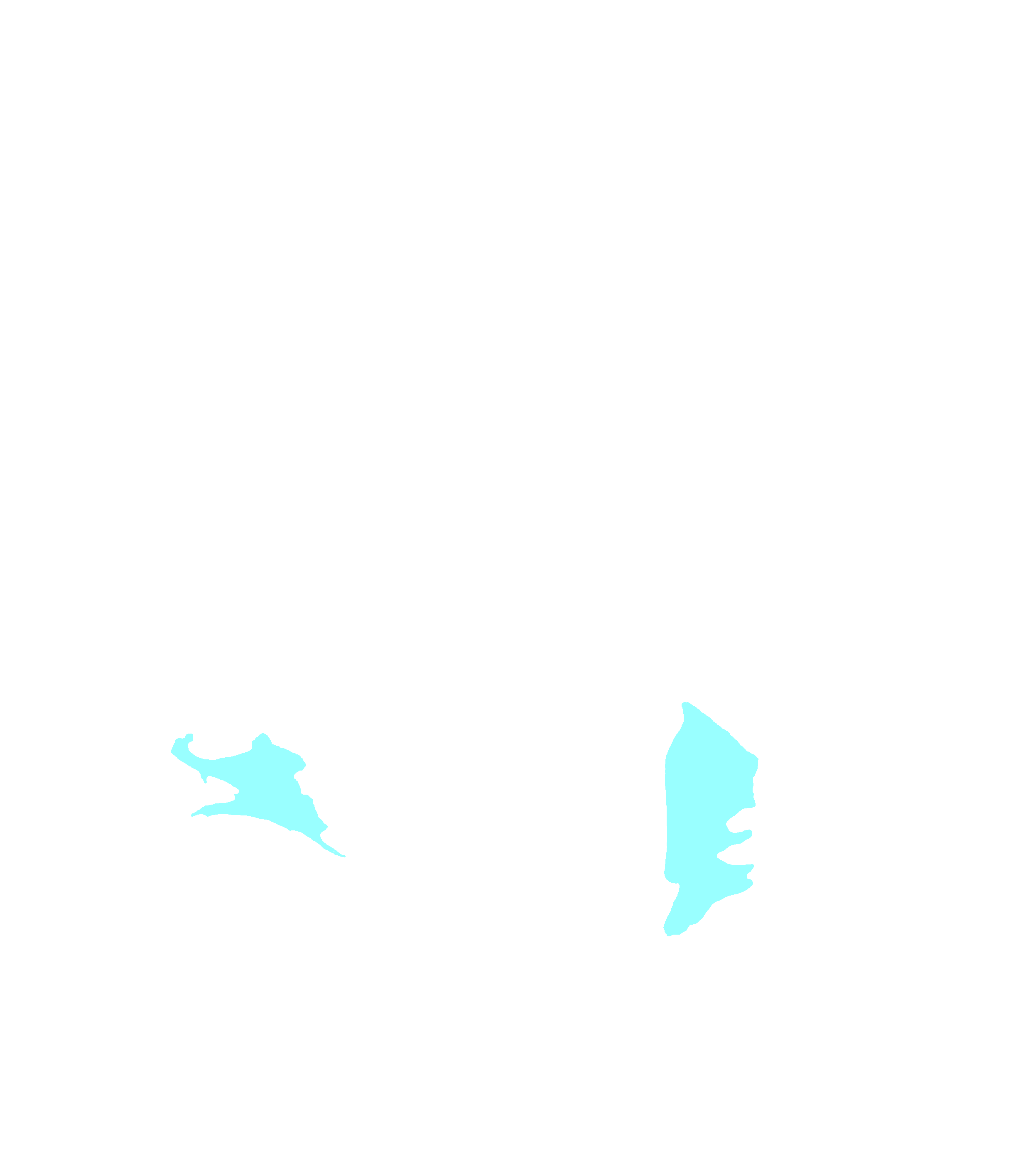 Uncinate Process