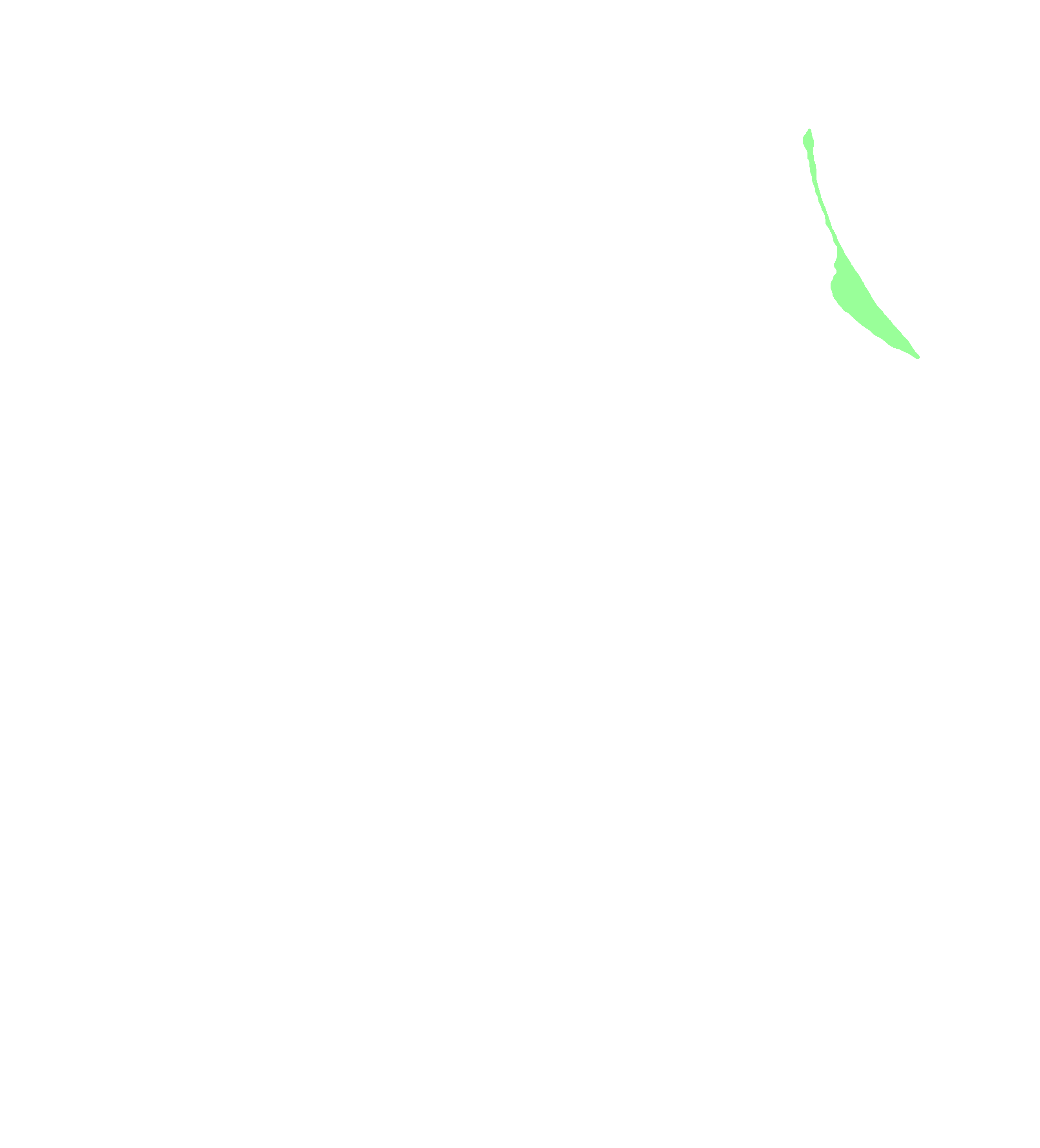 Orbital Plate