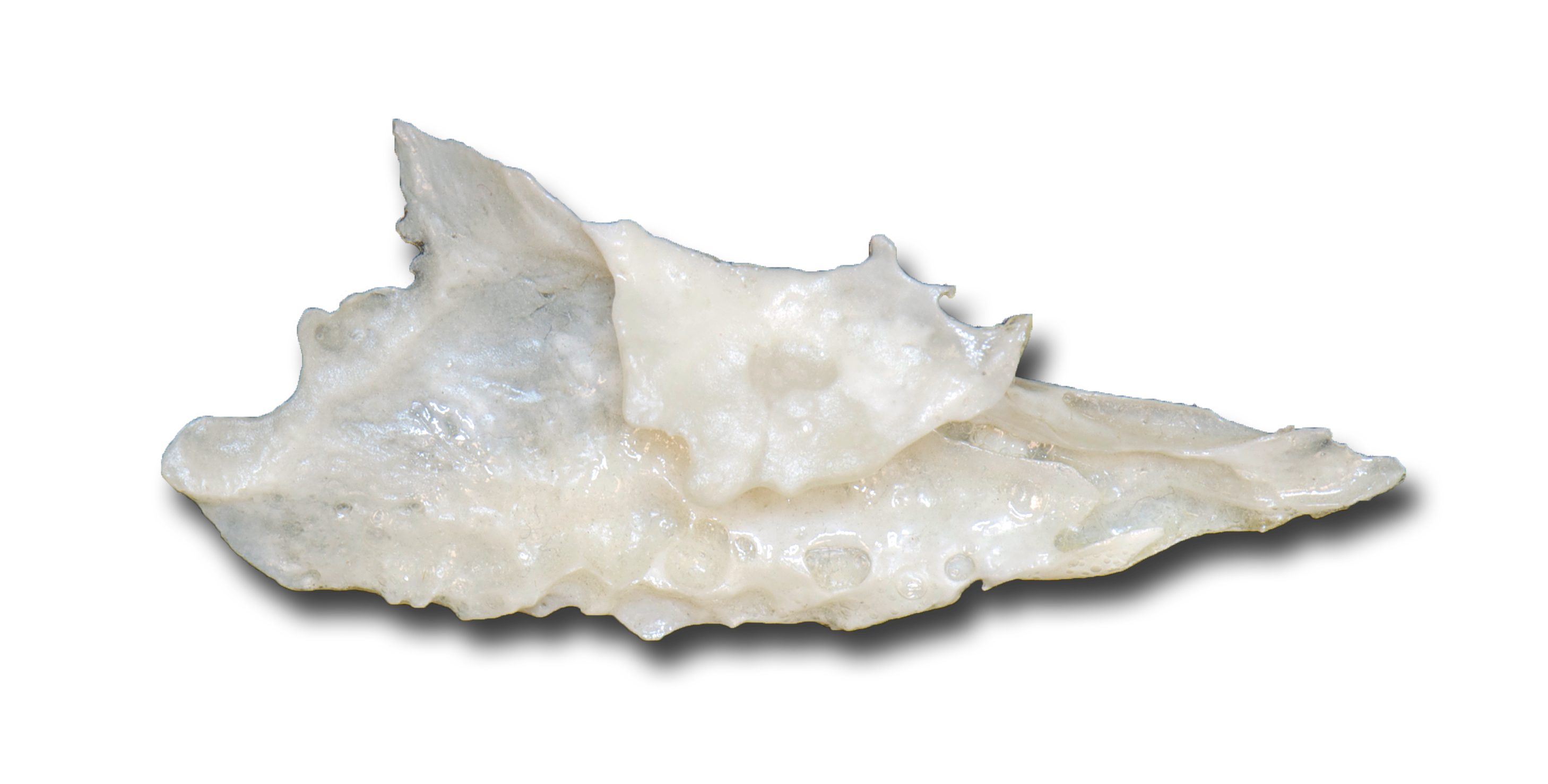 Inferior concha lateral