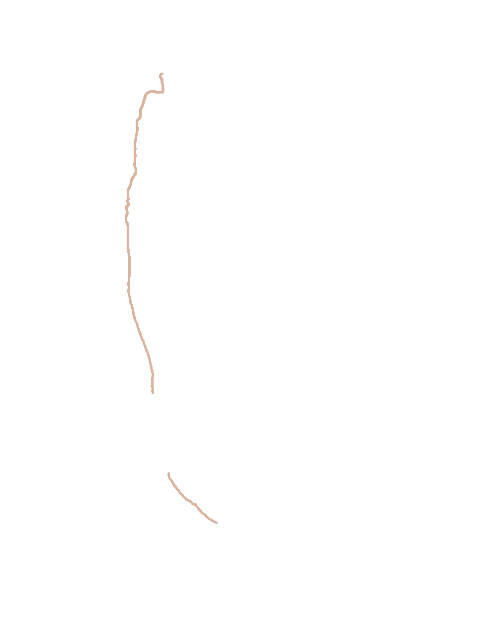 Anterior border