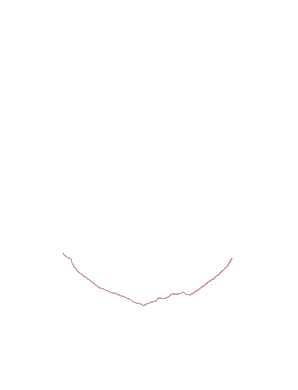 Inferior border