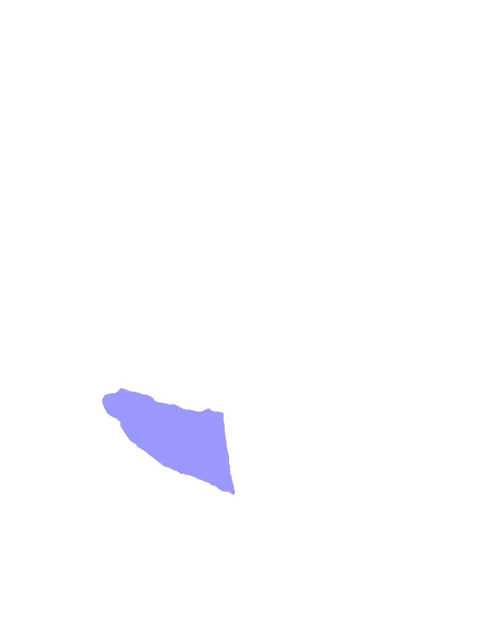 Lacrimal hamulus