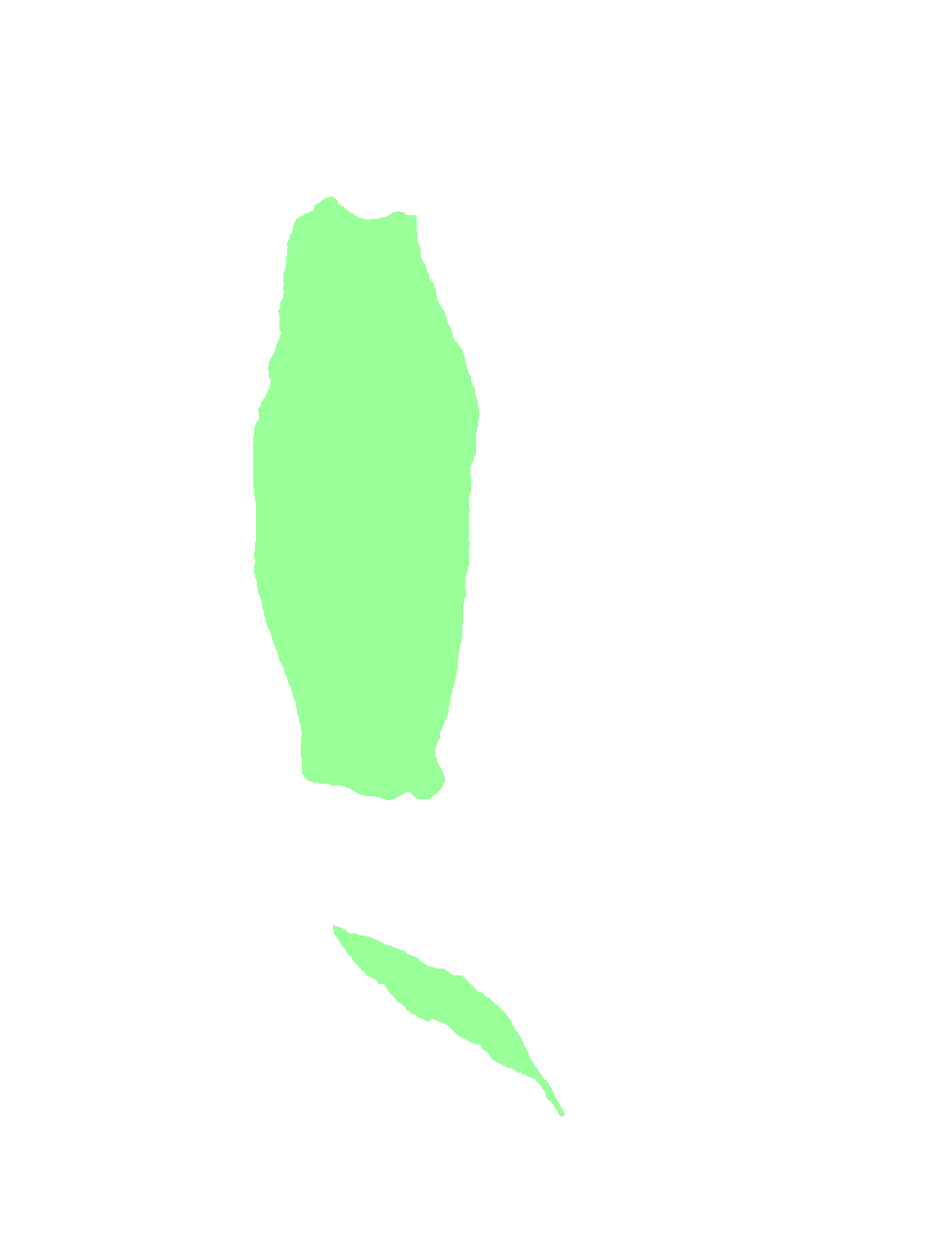 Nasal surface