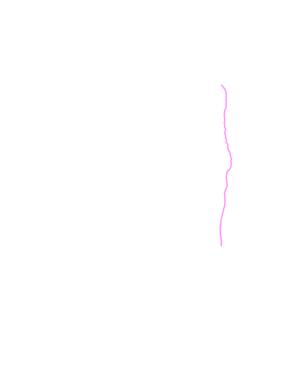 Posterior border