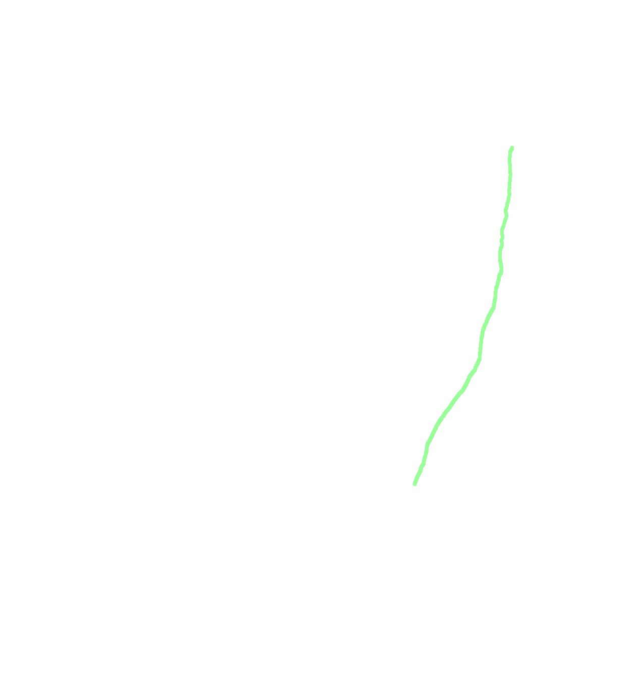 Anterior border