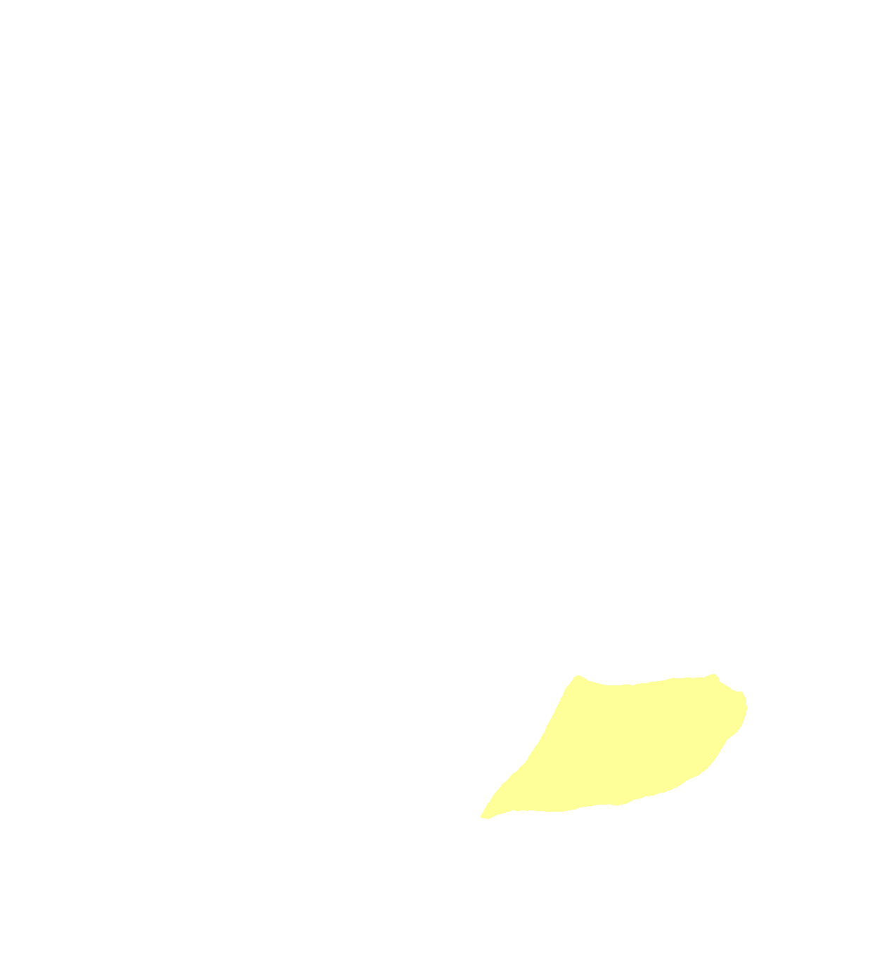 Lacrimal hamulus