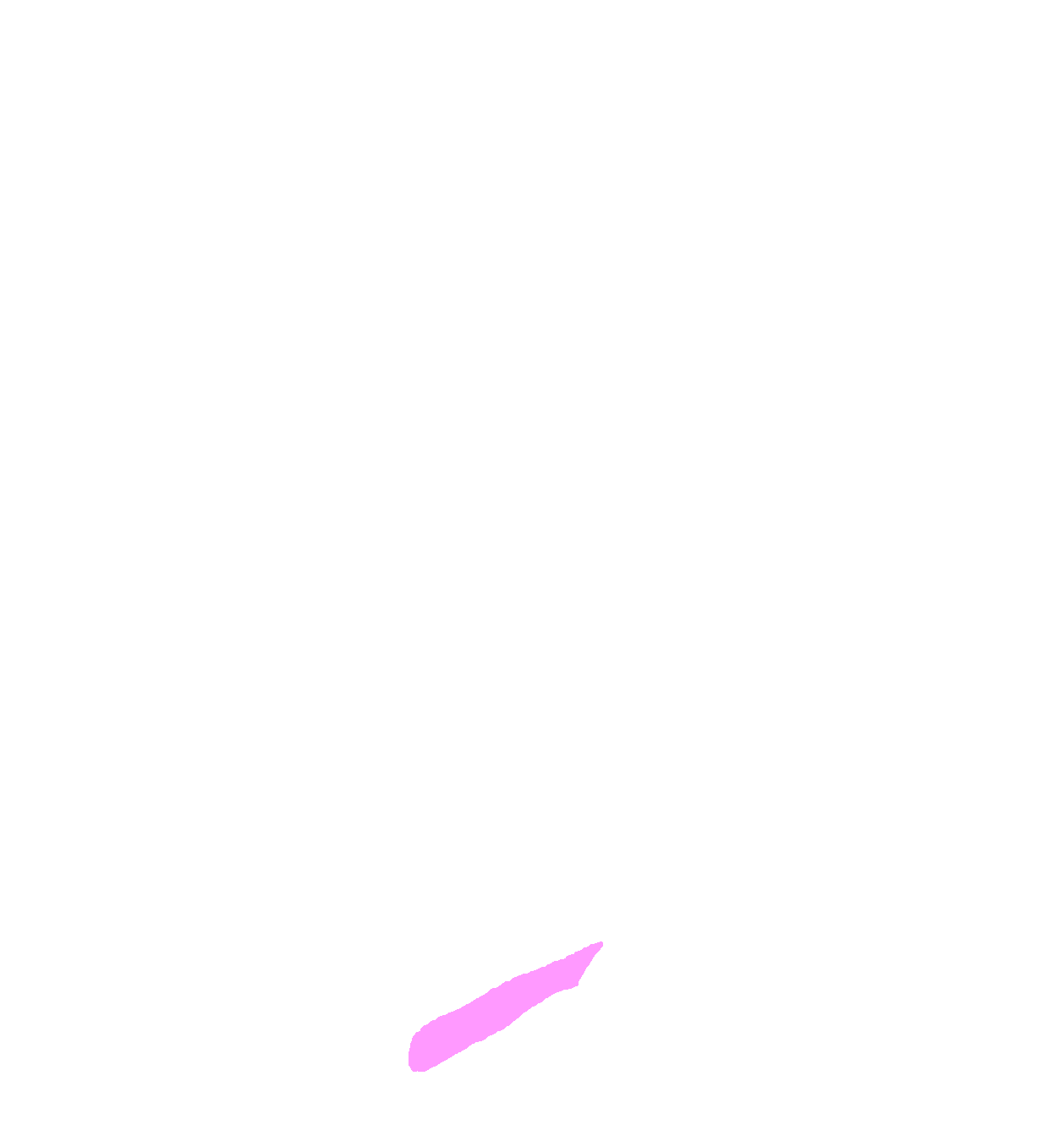 Lacrimal surface