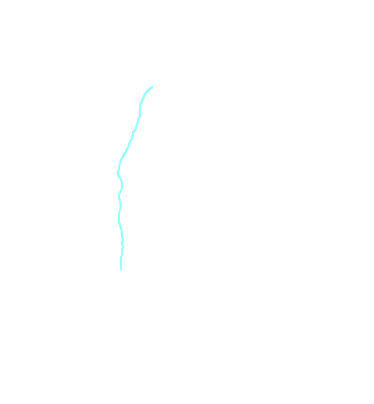 Posterior border