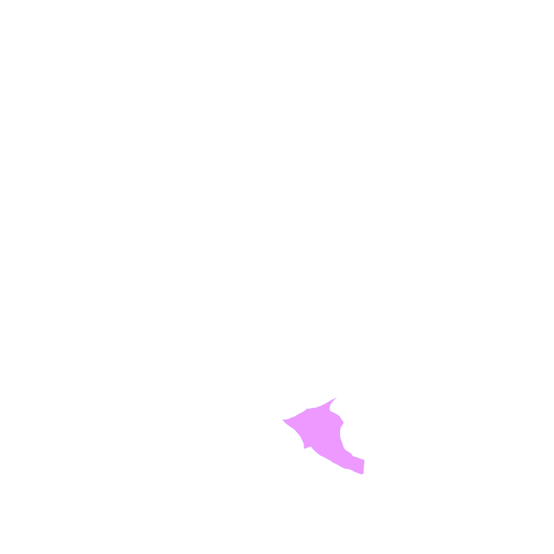 Brainstem