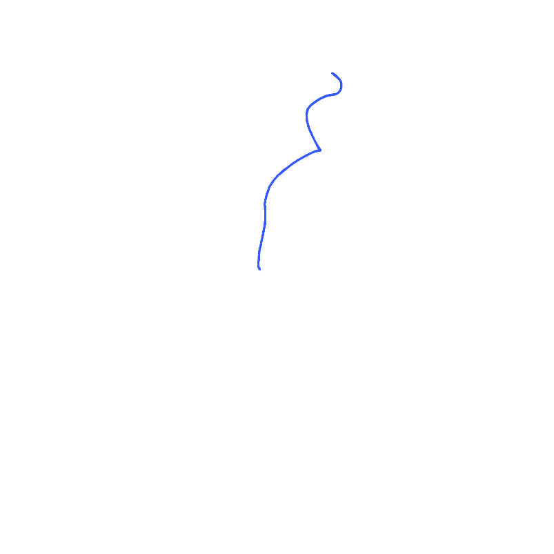 Central sulcus