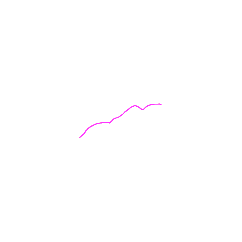 Lateral sulcus