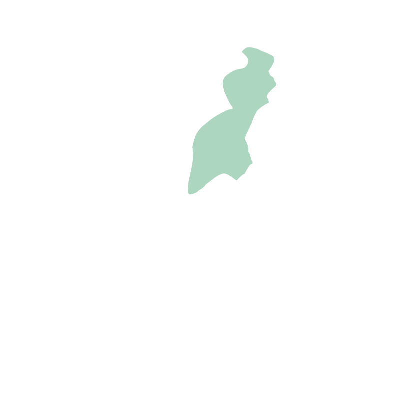 Postcentral gyrus
