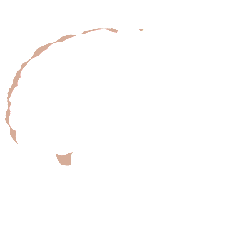 Right cerebral cortex