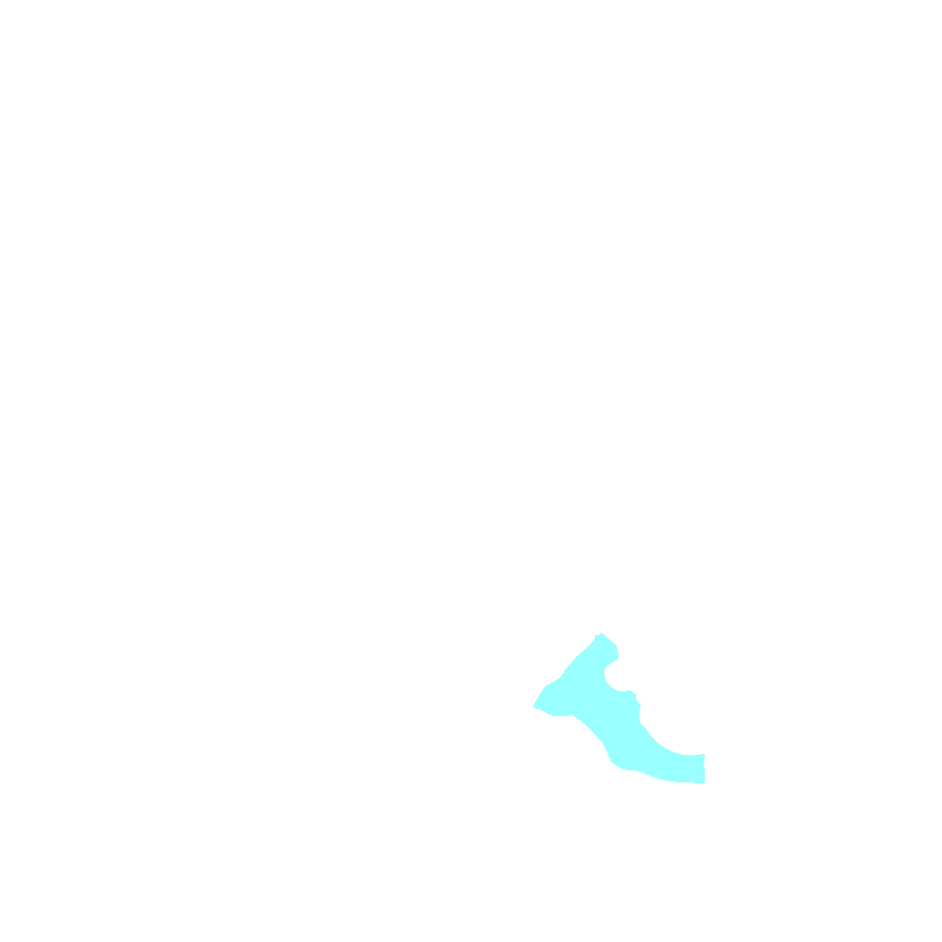 Brainstem