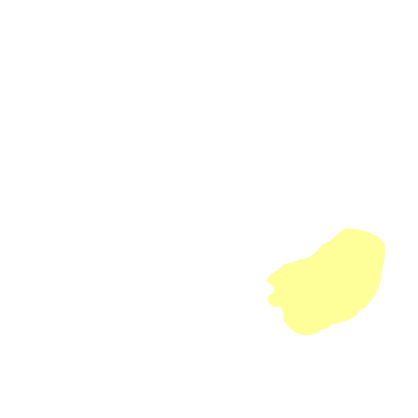 Cerebelum