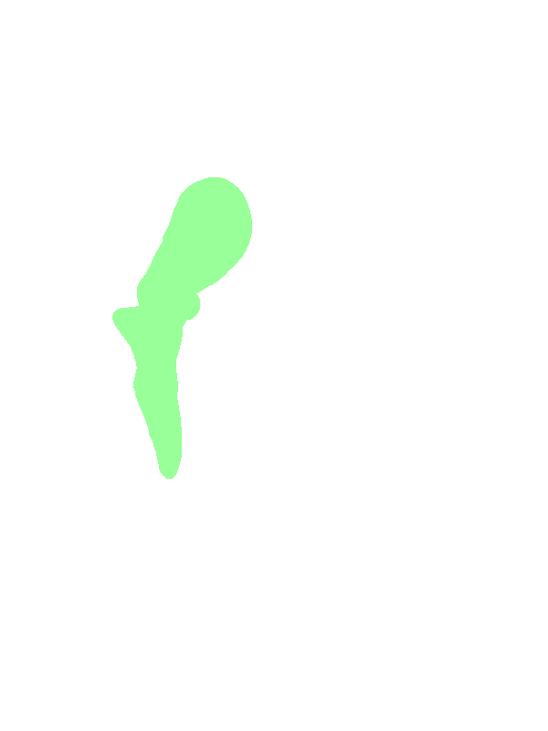 Malleus