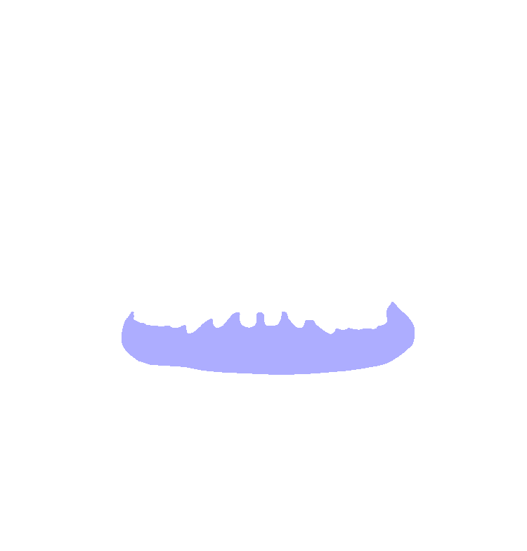 Alveolar Process