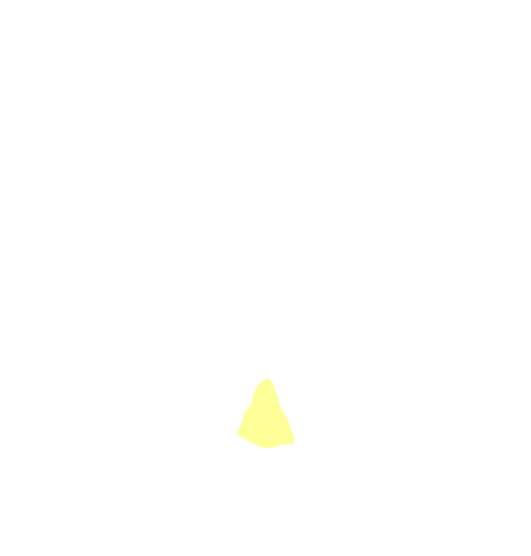 Mental Protuberance