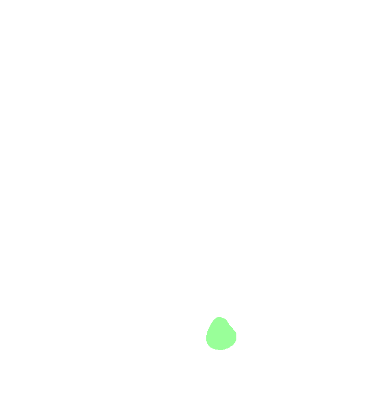 Mental Tubercle