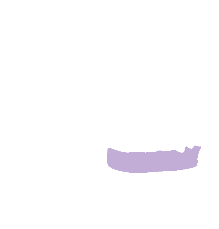 Alveolar Process