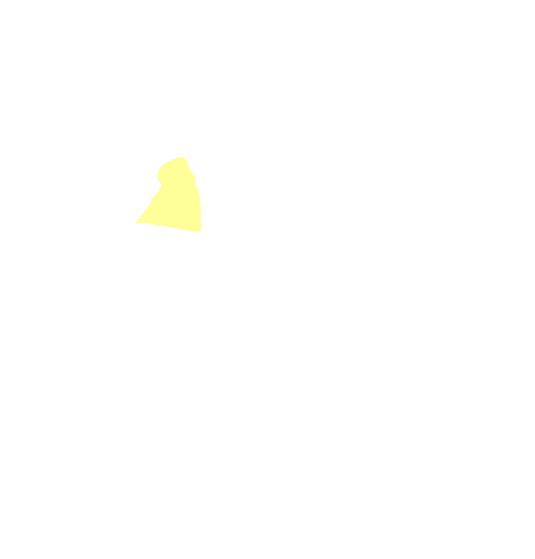 Coronoid Process