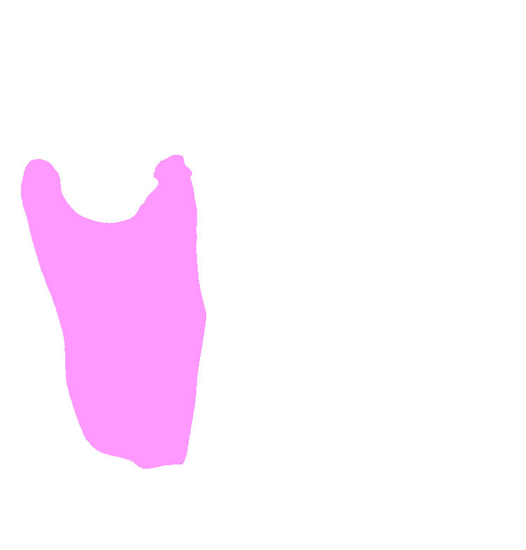 Ramus