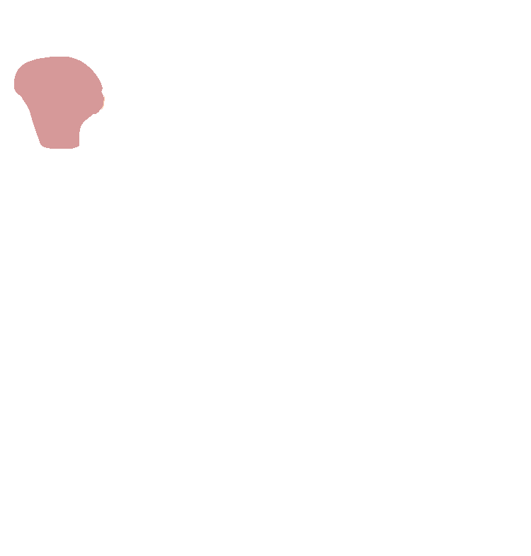 Condylar Process